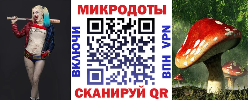 Псилоцибиновые грибы Cubensis  купить закладку  Скопин 